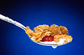 spoonful of cornflakes