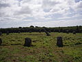 Image 1Boscawen-Un stone circle looking north (from History of Cornwall)