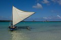 Pirogue à balancier de Nouvelle-Calédonie