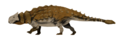 Ankylosaurus um anquilosaurídeo
