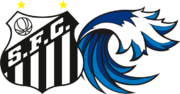 Santos Futebol Clube Parceiro E Dono Do Clube