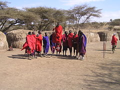 Het spring-ritueel van de Masai