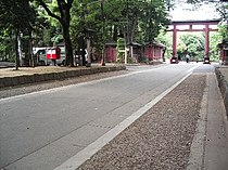 氷川神社の参道