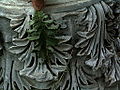 Akanthusblatt am korinthischen Kapitell in Side
