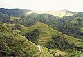 Banaue Rice Terraces