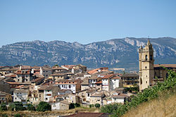 Skyline of Elciego