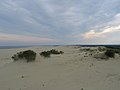 English: Dune Epha, highest point of the Curonian Spit & Europe (64 metres) Русский: Самая высокая в Европе подвижная дюна Эфа на Куршской косе в Калининградской области