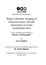 Thumbnail for File:Rapid volumetric imaging of numerous neuro-vascular interactions in awake mammalian brain.pdf