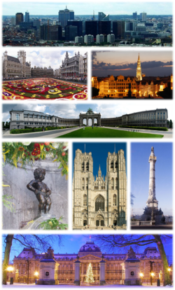A collage wi several views o Brussels, Tap: View o the Northren Quarter business destrict, 2nt left: Floral carpet event in the Grand Place, 2nt richt: Brussels Ceety Haw an Mont des Arts aurie, 3rd: Cinquantenaire Pairk, 4t left: Manneken Pis, 4t middle: St. Michael an St. Gudula Cathedral, 4t richt: Congress Column, Bottom: Ryal Palace o Brussels
