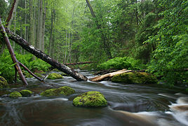 Rivière Altja jõgi.