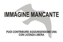 Immagine di Telespiza ypsilon mancante