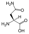 L-Asparagiini (Asn / N)