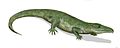 Proterosuchus, một loài bò sát ăn thịt giống cá sấu đã tồn tại trong kỷ Trias sớm.