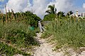 Footbridge over dunes, Vero Beach, Florida.