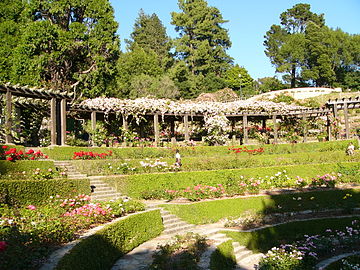 Berkeley Rose Garden terraces