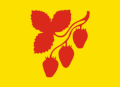 Zastava Občina Norddal