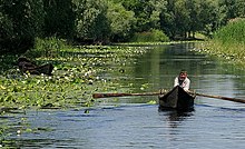 Photo de deux lotcas et d'un homme aux avirons.