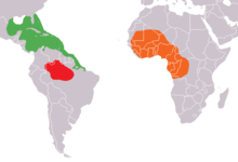 Map drawing showing range of three manatee populations