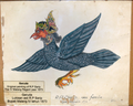 Javanese Garuda according to Raden P. Sjarip, then 4th Regent of Malang