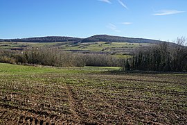 Photo couleur d'une plaine avec en second plan des monts.