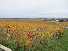Les climats du vignoble de Bourgogne.