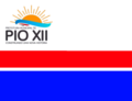 Bandeira de Pio XII