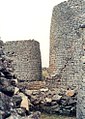 Izilondo zeGreat Zimbabwe