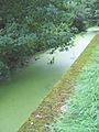 Anti-Tank canal, built to protect against the German tank attacks during World War II, today a preserved natural area