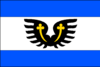 Flag of Dolní Heřmanice
