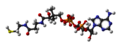 3D struktura koenzima A