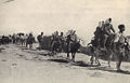 In 1922-23 Near East Relief evacuated 22,000 children from ophanages in interior Turkey to Syria and Greece. This pictures show part of the 5,000 children from Karput en route on donkey back and foot.