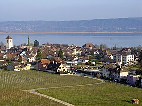 Blick uf La Neuveville u dr Bielersee