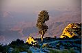 Gorakh Hill Station, Dadu