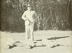 Three of the last Asiatic cheetahs in India were shot dead in 1948 in Surguja district, Madhya Pradesh, Central India by Maharajah Ramanuj Pratap Singh Deo. The young male cheetahs, all from the same litter, were sitting together when they were shot at night.