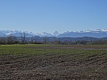 Photographie en couleurs d'un champ agricole, avec en fond des montagnes enneigées.