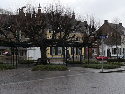 Lindeboom op de Markt 'De Moeierboom'