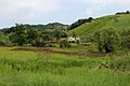 Gornja Bukovica - panorama