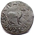 Cavallo (Münze) des Ferdinand von Aragon, Revers