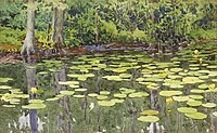 Water-Lily Pond (1915)