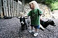 Criança com cabritos no Zoológico de Bichos de Estimação, Saint Louis Zoological Park