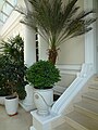 Palacio Gangotena, Quito (interior)