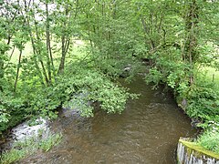 La Rozeille à Moutier-Rozeille (route départementale 990).