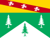 Vosges' flag