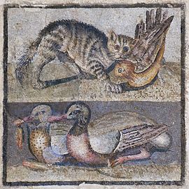 Mosaïque du chat et des deux canards daté du premier quartier du Ier siècle av. J.-C.