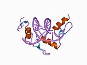 1a1f: DSNR (ZIF268 VARIANT) ZINC FINGER-DNA COMPLEX (GACC SITE)