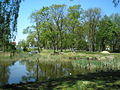 Parc de Czartoryska à Radzymin, XVIIIe siècle.