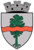 Coat of arms of Pucioasa