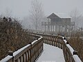 A kilátóhoz vezető fahíd a Kis-Tisza Ökocentrumban