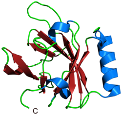 Aphrodisin (Mesocricetus auratus)