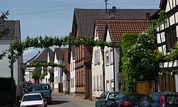 Skyline of Ellerstadt